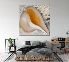 SEA SHELL Ocean Life Large Abstract Shells - Square Fine Art Artesty 1 Panel 12"x12" 