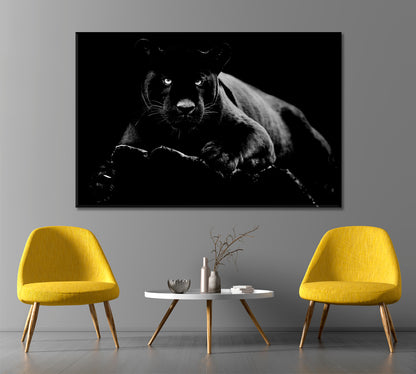 BEAUTIFUL BEAST Black Jaguar Animal World Animals Canvas Print Artesty   