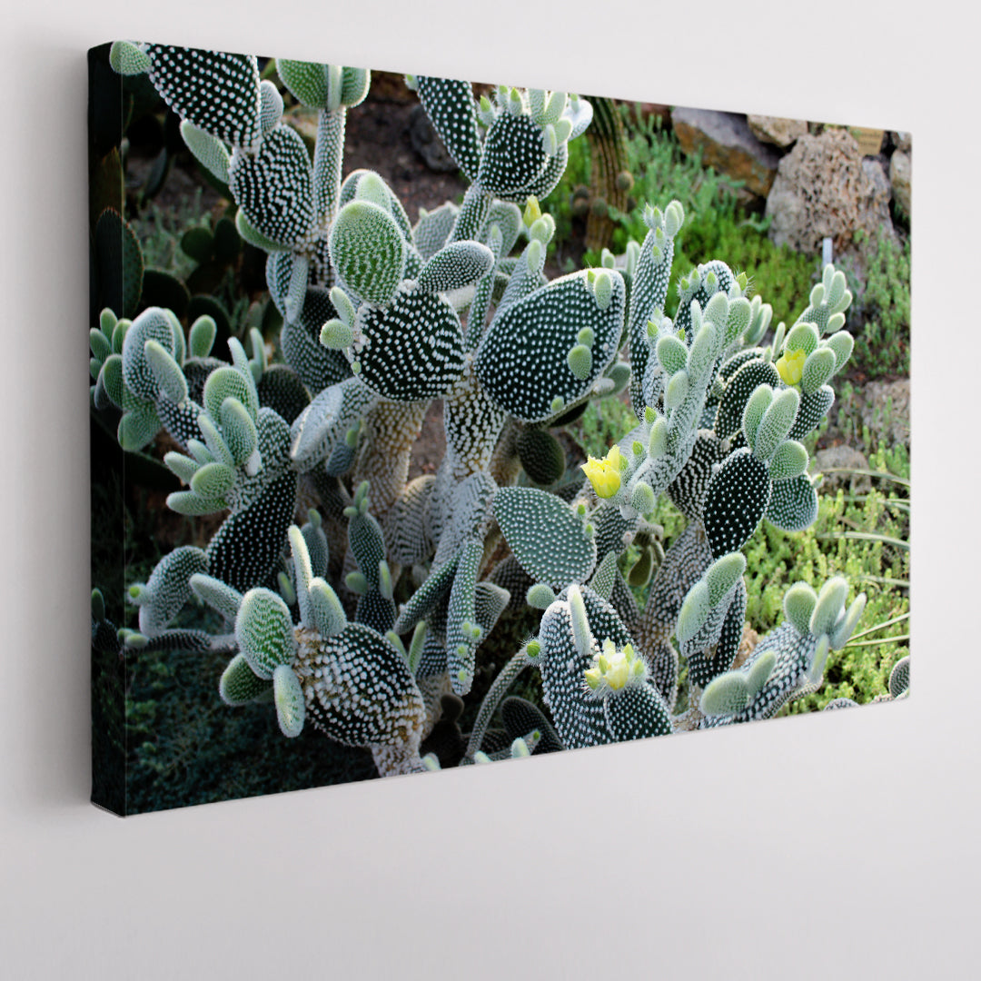 CACTI Flowering Cactus Floral & Botanical Split Art Artesty 1 panel 24" x 16" 