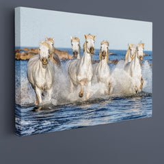 White Camargue Horses Galloping Animals Canvas Print Artesty 1 panel 24" x 16" 