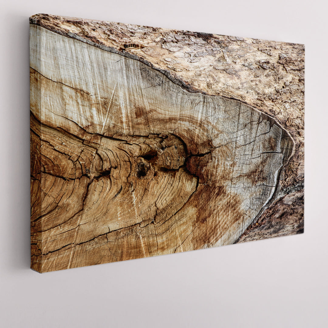 Old Tree Trunk Texture Poster Abstract Art Print Artesty 1 panel 24" x 16" 
