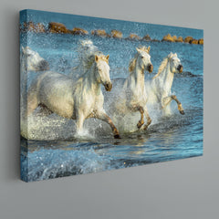 Beautiful White Horses Animals Canvas Print Artesty 1 panel 24" x 16" 