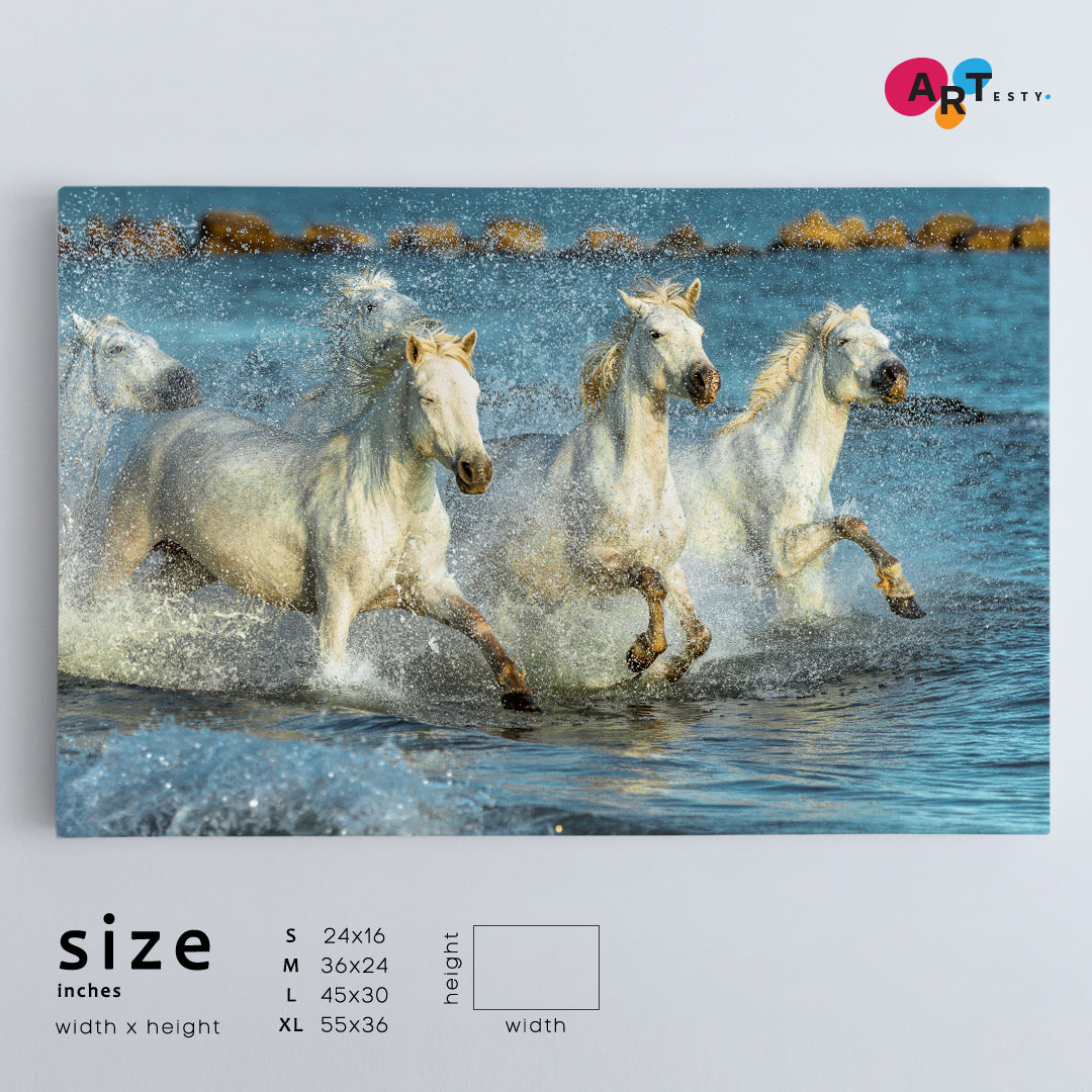 Beautiful White Horses Animals Canvas Print Artesty   