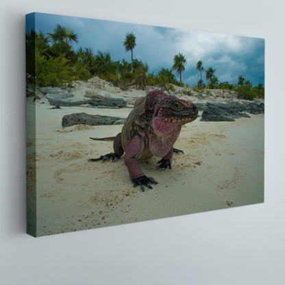 Wild Iguanas Bahamas Beach Poster Traveling Around Ink Canvas Print Artesty 1 panel 24" x 16" 