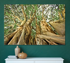 UNIQUE TREE FORMATION Giant Old Tree Africa Forest Huge Baobab Nature Wall Canvas Print Artesty 1 panel 24" x 16" 