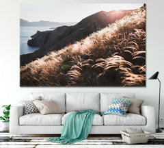 Sunset Coastline Landscape Hill Incredible Spring Field Feather Grass Nature Wall Canvas Print Artesty 1 panel 24" x 16" 