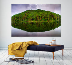 AMAZING Nature Reflection of pine tree in a lake, Thailand Pang Ung Hidden Treasures Scenery Landscape Fine Art Print Artesty 1 panel 24" x 16" 