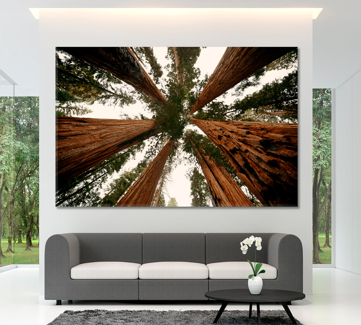 TREES Sequoia and Kings National Park Nature Scenery Nature Wall Canvas Print Artesty 1 panel 24" x 16" 