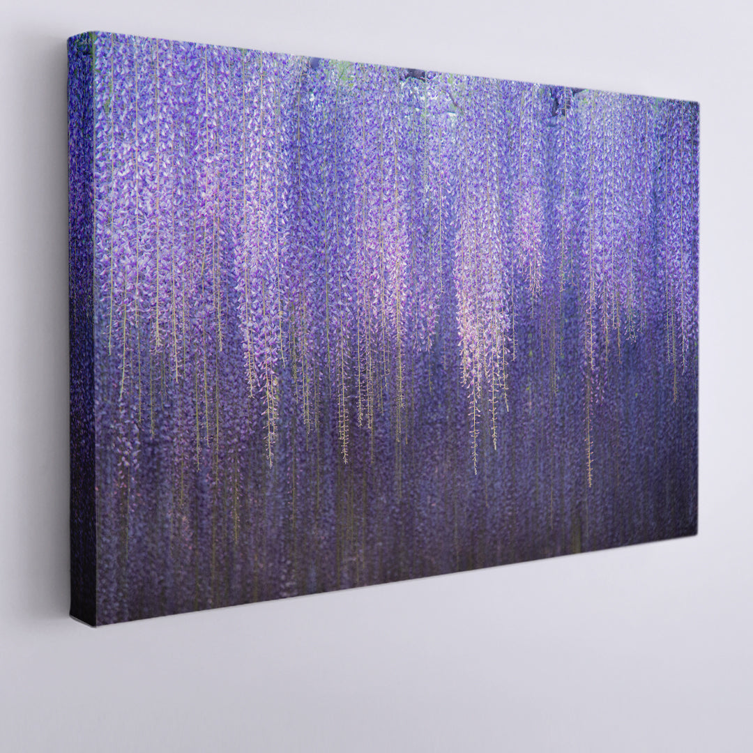 Beautiful Great Purple Pink Wisteria Trellis Ashikaga Flower Park Japan Floral & Botanical Split Art Artesty 1 panel 24" x 16" 