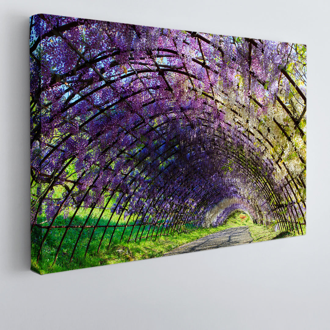 WISTERIA The Great Wisteria Flower Tunnel in Japan Magical Place in Spring Japan Floral & Botanical Split Art Artesty 1 panel 24" x 16" 