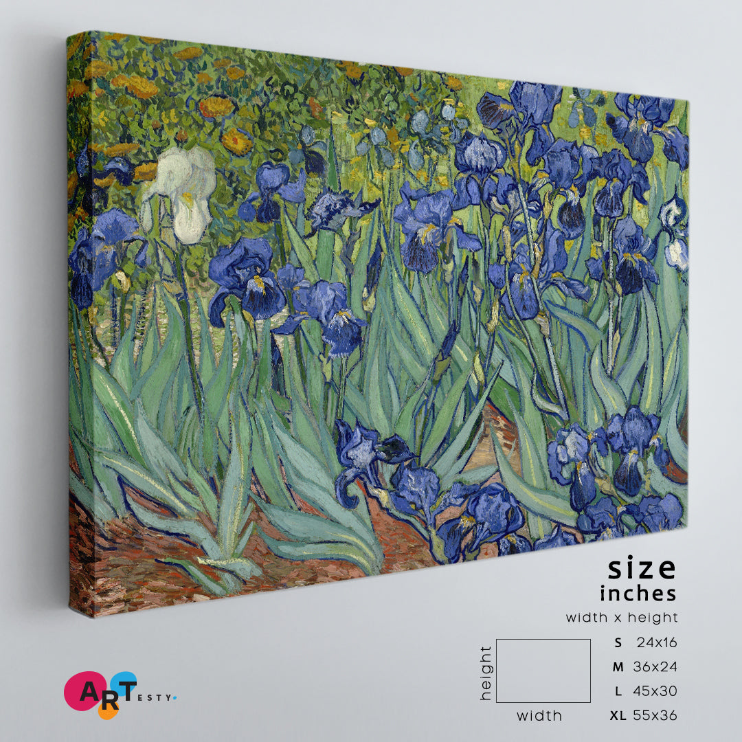 IRISES Inspired by Nature Vincent Van Gogh Style Fine Art Artesty   
