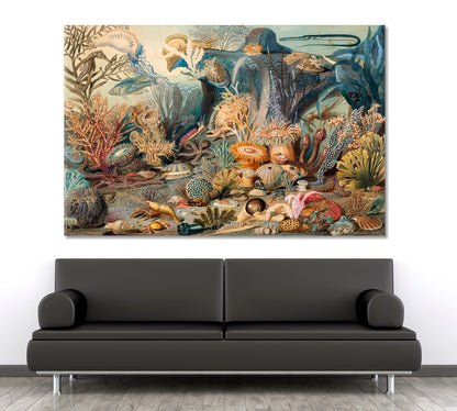 OCEAN LIFE By James M. Sommerville Fine Art Artesty 1 panel 24" x 16" 