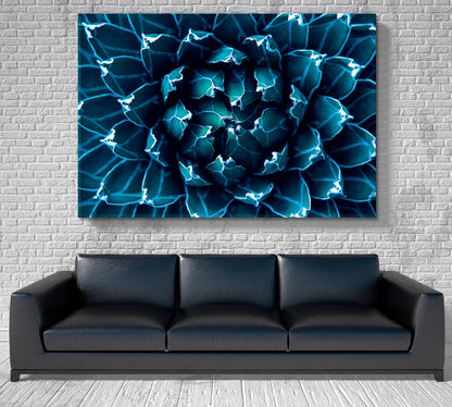 Agave Cactus Abstract Natural Tropical Pattern Floral & Botanical Split Art Artesty 1 panel 24" x 16" 