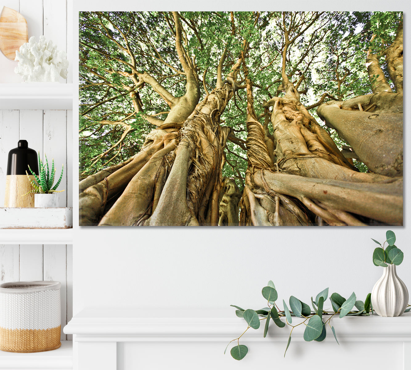 UNIQUE TREE FORMATION Giant Old Tree Africa Forest Huge Baobab Nature Wall Canvas Print Artesty   