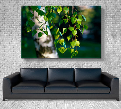 Spring Awakening White Birch Trees Green Leaves Branches Nature Wall Canvas Print Artesty   