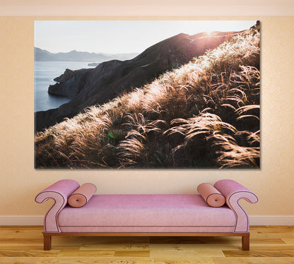 Sunset Coastline Landscape Hill Incredible Spring Field Feather Grass Nature Wall Canvas Print Artesty   