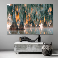 AMAZING HUGE TREE Most Incredible Unique Trees Bald Cypress Nature Wall Canvas Print Artesty   