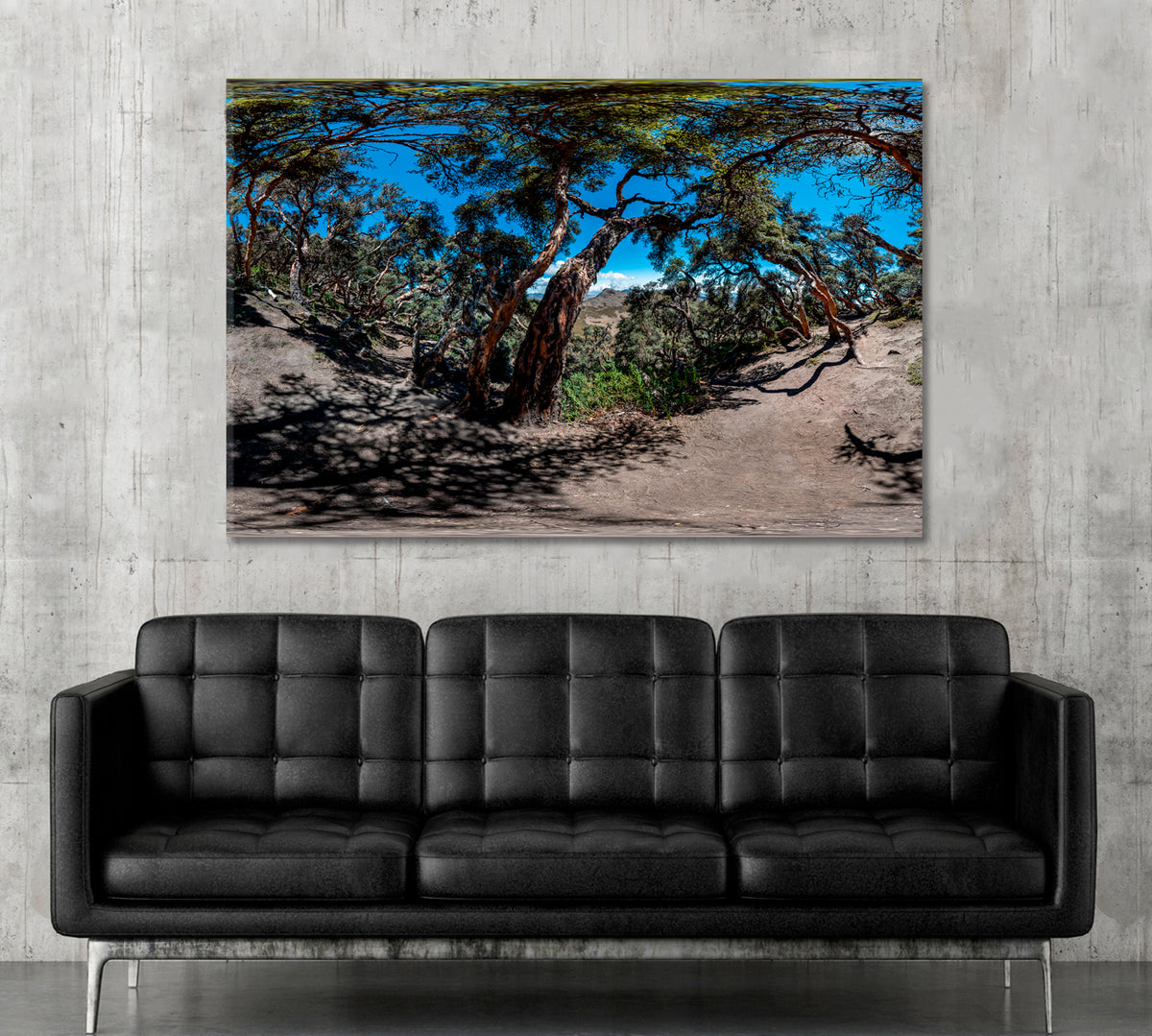 Ecuador Polylepis Forest Thousand Year Old Trees Poster Nature Wall Canvas Print Artesty 1 panel 24" x 16" 