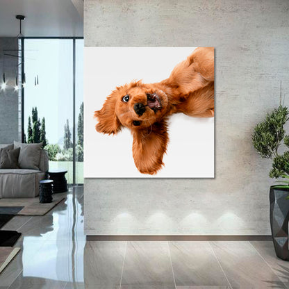 CRAZY PURE YOUTH English Cocker Spaniel Young Funny Cute Dog Kids Room Art - Square Panel Animals Canvas Print Artesty   