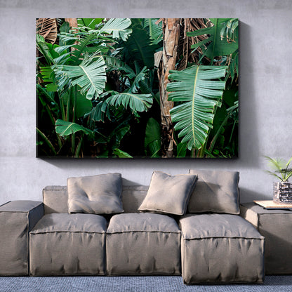 TROPICAL JUNGLE Banana Tree Big Green Leaf Exotic Green Garden Tropical, Exotic Art Print Artesty   