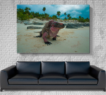 Wild Iguanas Bahamas Beach Poster Traveling Around Ink Canvas Print Artesty   