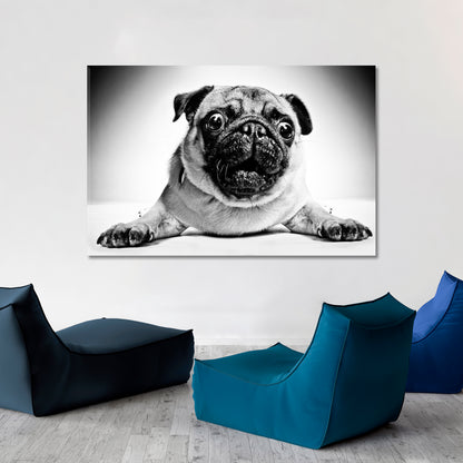 Funny Animals Poster Animals Canvas Print Artesty   