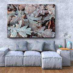 Frost on Brown Oak Leaf Floral & Botanical Split Art Artesty 1 panel 24" x 16" 