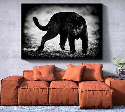 PUMA Wild Beast Jaguar Beautiful Animals Wildlife Animals Canvas Print Artesty   