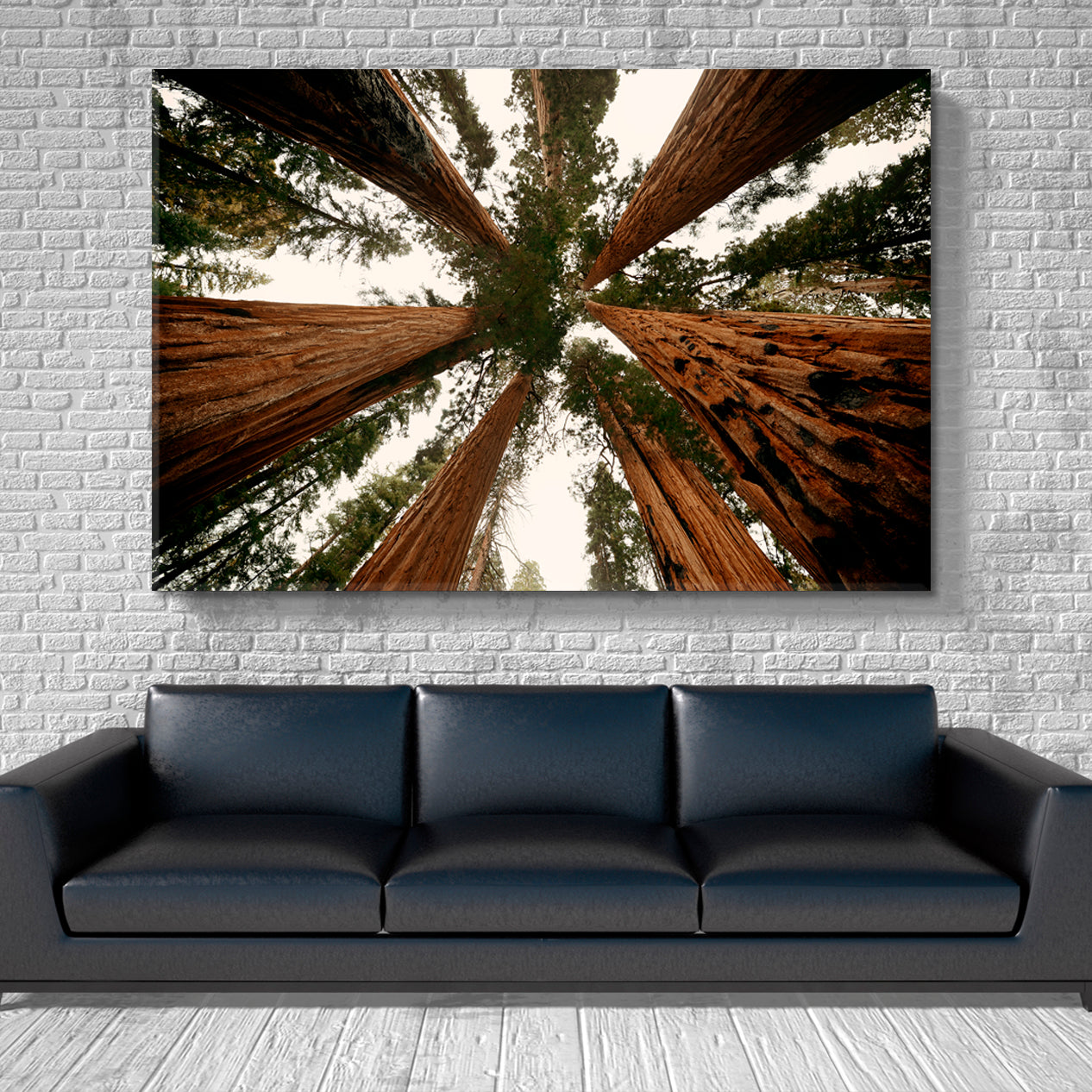TREES Sequoia and Kings National Park Nature Scenery Nature Wall Canvas Print Artesty   