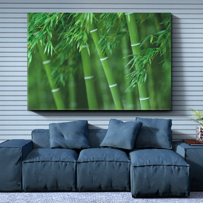 Bamboo Green Forest Floral & Botanical Split Art Artesty 1 panel 24" x 16" 