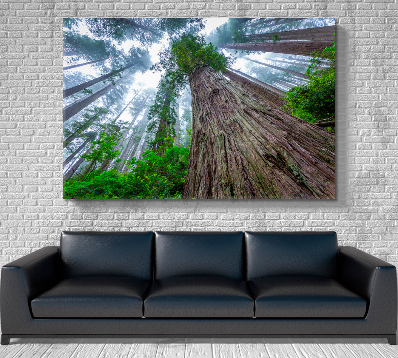 Huge Sequoias Trees Redwood National Park California Poster Famous Landmarks Artwork Print Artesty   