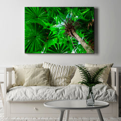 FAN PALM Green Foliage Daintree Australia Queensland Rainforest Tropical, Exotic Art Print Artesty   