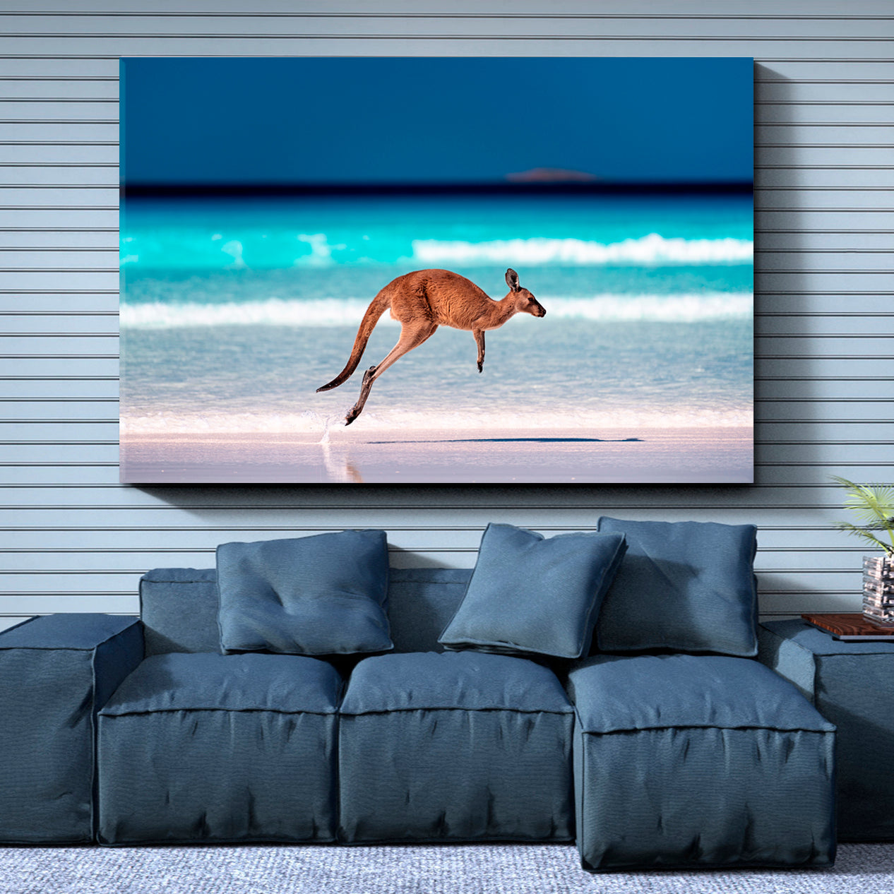 Buy Beach Kangaroo Photo Art Print