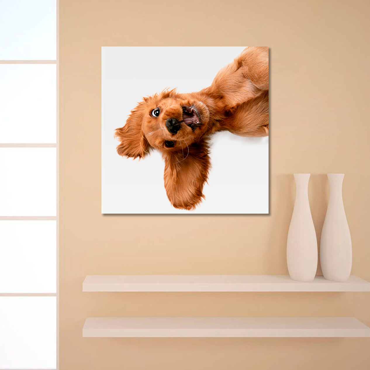 CRAZY PURE YOUTH English Cocker Spaniel Young Funny Cute Dog Kids Room Art - Square Panel Animals Canvas Print Artesty   