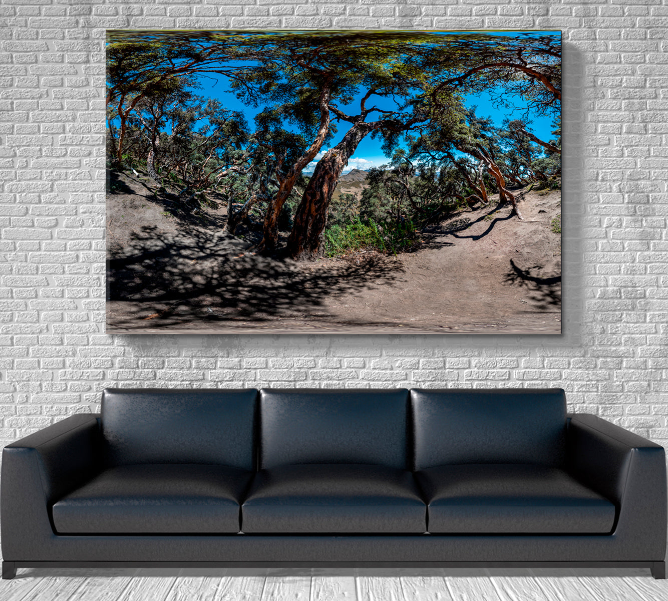 Ecuador Polylepis Forest Thousand Year Old Trees Poster Nature Wall Canvas Print Artesty   