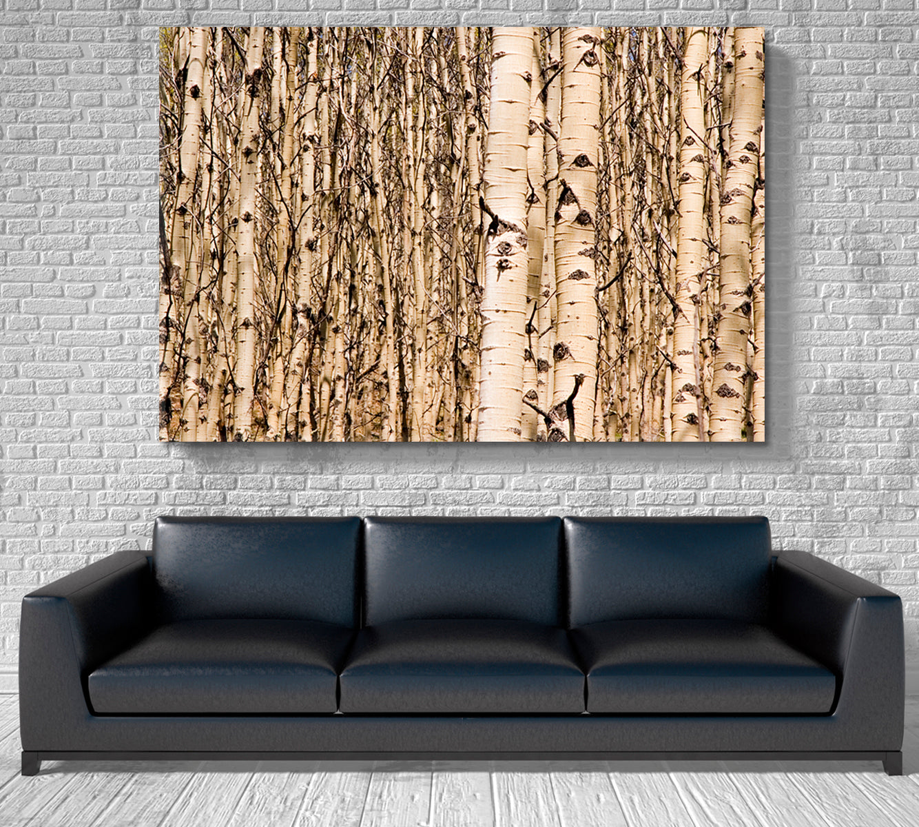 WOODLAND Aspen Trees Tree Alley Nature Wall Canvas Print Artesty   