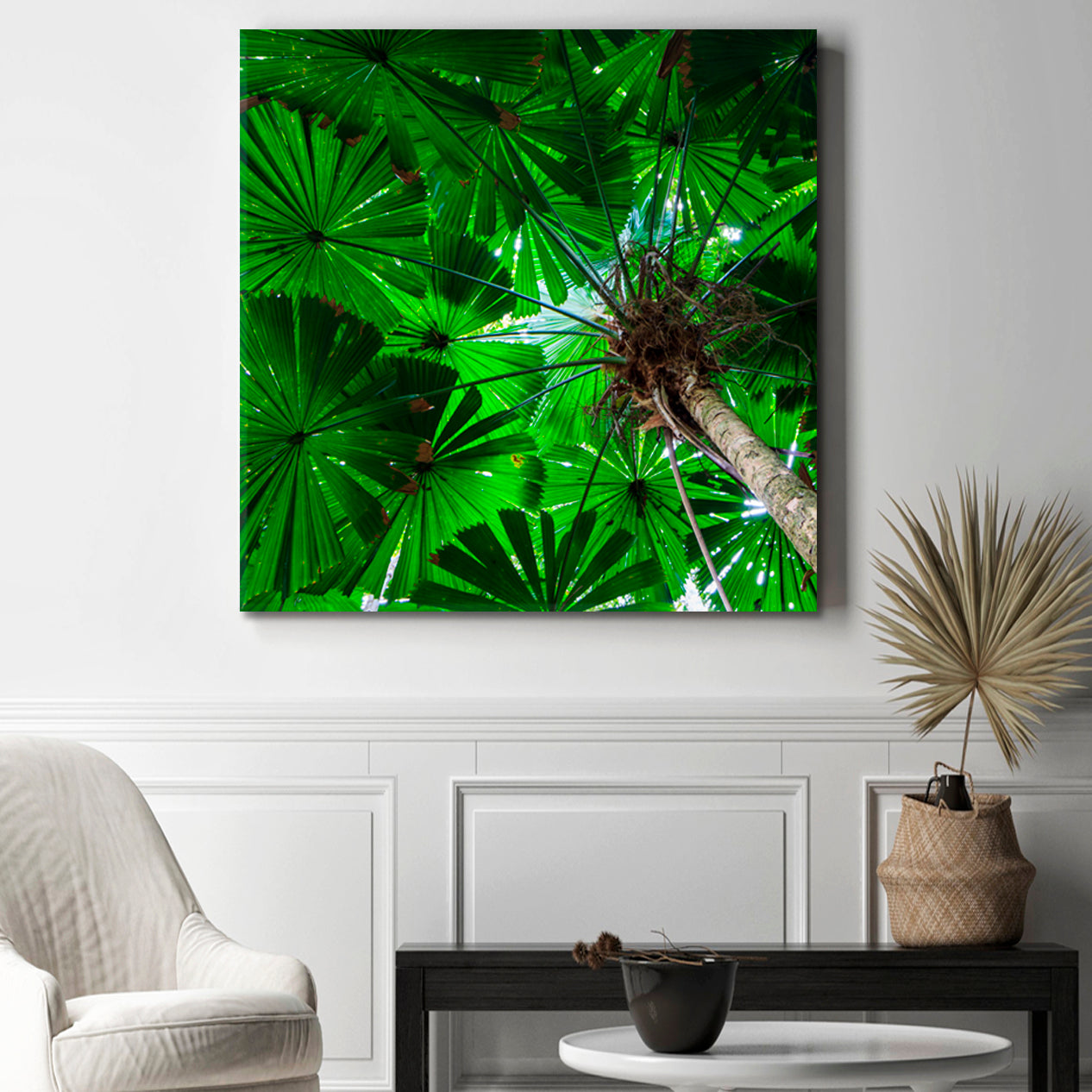 UNUSUAL PALM TREES Australia Rainforest Tropical, Exotic Art Print Artesty 1 Panel 12"x12" 