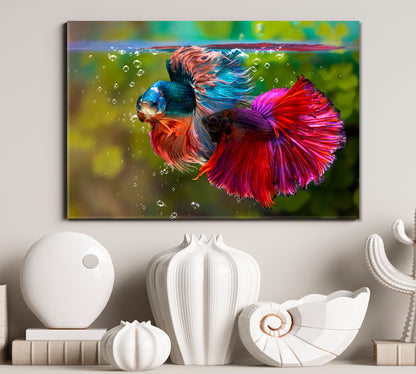 Aquarium Multicolor Siamese Fighting Fish Underwater Nautical, Sea Life Pattern Art Artesty 1 panel 24" x 16" 