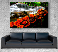 NATURE LANDSCAPE Cascade Waterfalls Orange Mushroom On Tree Nature Wall Canvas Print Artesty 1 panel 24" x 16" 