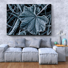 ABSTRACT NATURALISM Frost Pattern Leaf Ice Crystals Floral & Botanical Split Art Artesty   