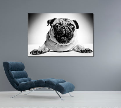 Funny Animals Poster Animals Canvas Print Artesty 1 panel 24" x 16" 