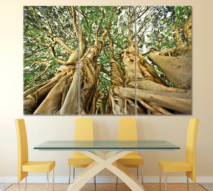 UNIQUE TREE FORMATION Giant Old Tree Africa Forest Huge Baobab Nature Wall Canvas Print Artesty   