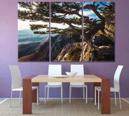 Breathtaking Beautiful Mountains Sunset Big Pine Tree on the Rock Nature Wall Canvas Print Artesty   