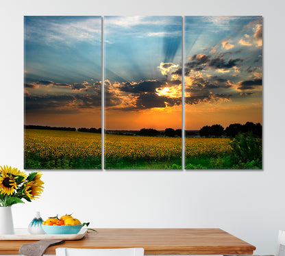 Colorful Sunset Sun Rays Amazing Field of Sunflowers Landscape Scenery Landscape Fine Art Print Artesty   