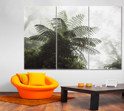 Huge Fern Mystical Tropical Forest in Fog Misty Jungle Rainforest Tropical, Exotic Art Print Artesty   