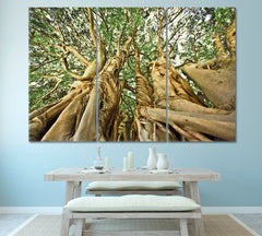 UNIQUE TREE FORMATION Giant Old Tree Africa Forest Huge Baobab Nature Wall Canvas Print Artesty 3 panels 36" x 24" 