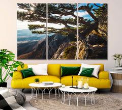 Breathtaking Beautiful Mountains Sunset Big Pine Tree on the Rock Nature Wall Canvas Print Artesty 3 panels 36" x 24" 