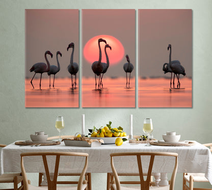 Asker Coast Greater Flamingos Amazing Coral Hue Sunset Dramatic Sky Wild Life Framed Art Artesty   