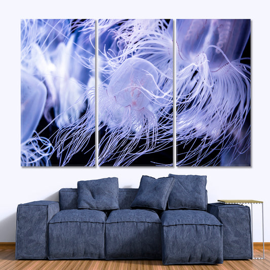 JELLYFISH Underwater Sea Life Nautical, Sea Life Pattern Art Artesty 3 panels 36" x 24" 