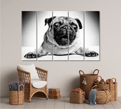 Funny Animals Poster Animals Canvas Print Artesty   